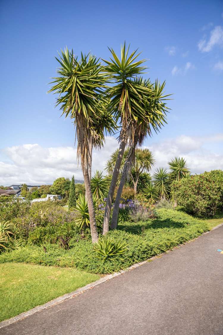 98 Koutunui Road Athenree_32