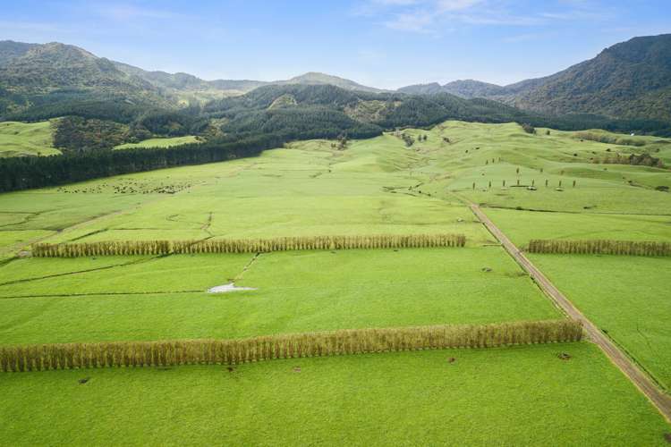 1369 Te Aroha-Gordon Road Manawaru_3