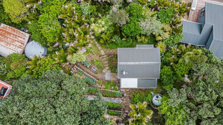 5 Sylvan Glade Piha_3