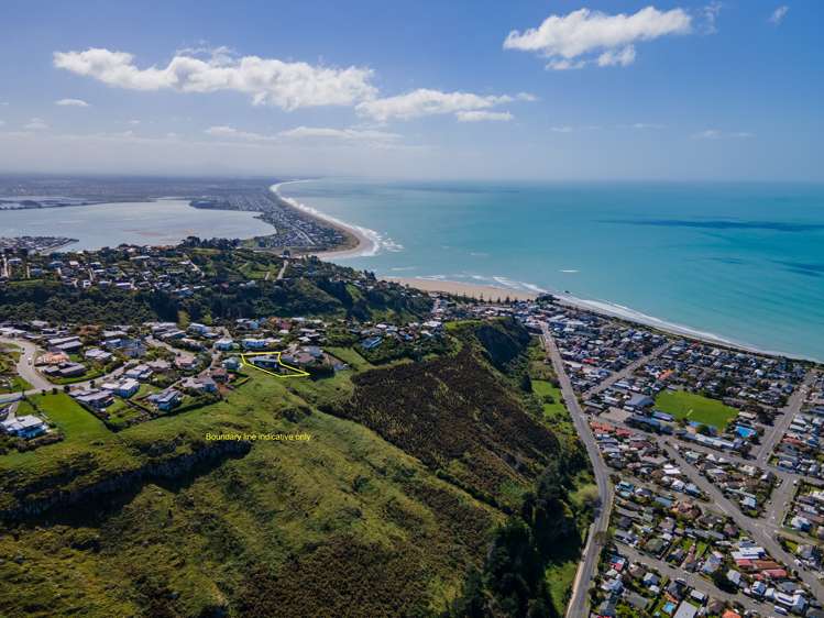 138 Richmond Hill Road Richmond Hill_6