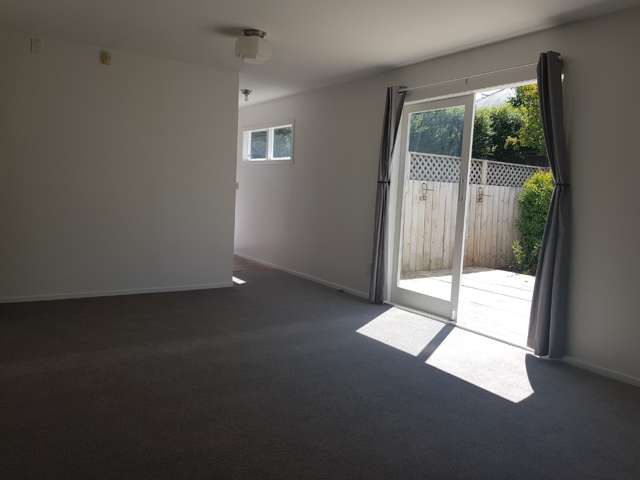 50c Home Street Grey Lynn_1