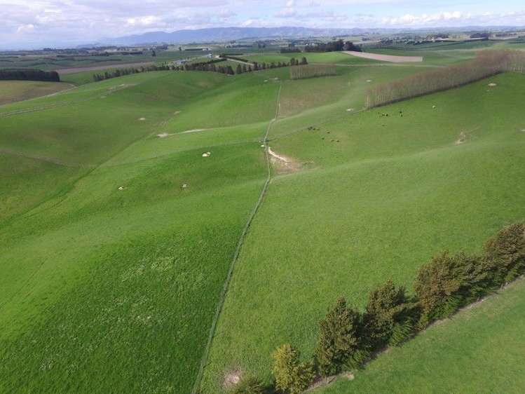 510 Glenkenich Road Gore Surrounds_5