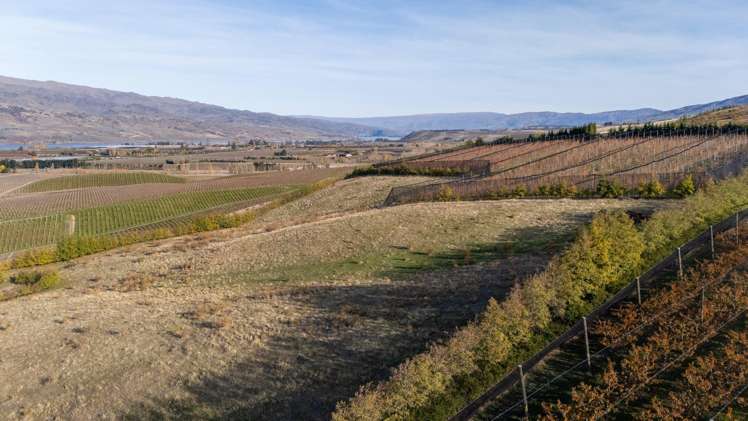 41 Cooper Lane Mount Pisa_19