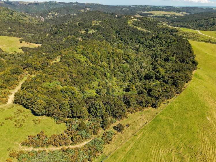 173 Paranui-Toatoa Road Taipa_9