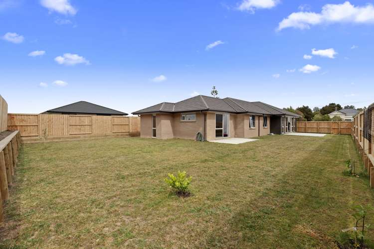 13 Millar Street Te Aroha_17