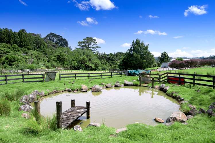 12 Mildon Road Waitakere_46