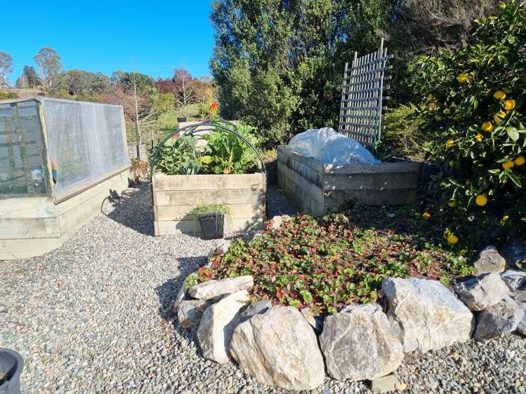 43 Redvale Road Redwood Valley_13