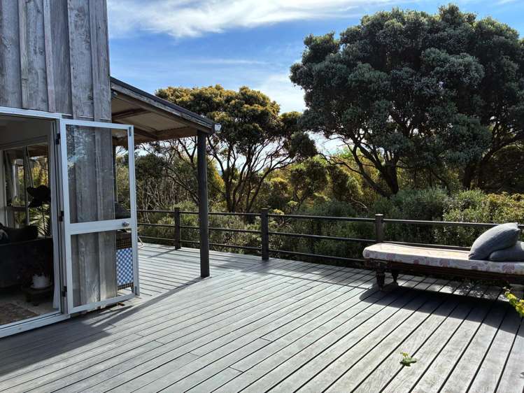 191 Hills Road Raglan_22