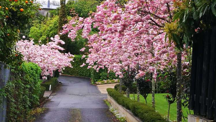 11 Muritai Crescent Havelock North_20