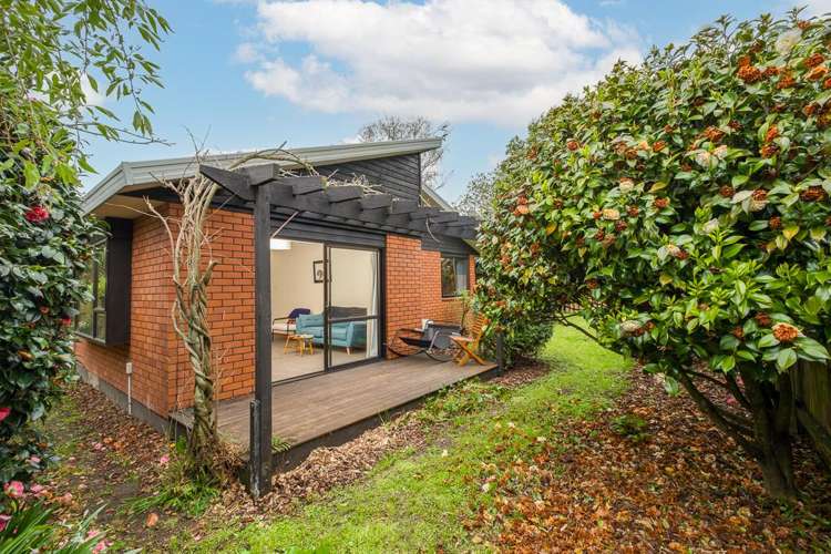 297b Ashgrove Terrace Somerfield_13