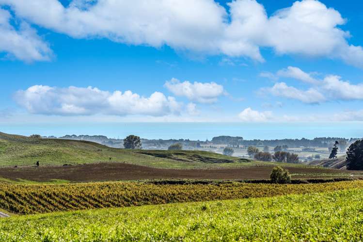 Millar Road Haumoana_12