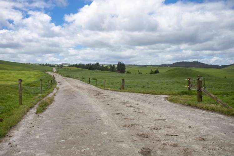 1308 Mossop Road Kinleith_14