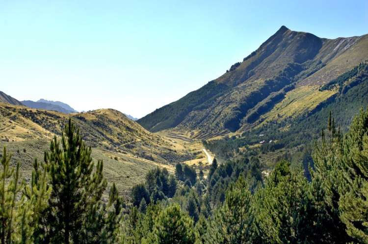 108 Moke Lake Road Ben Lomond_10