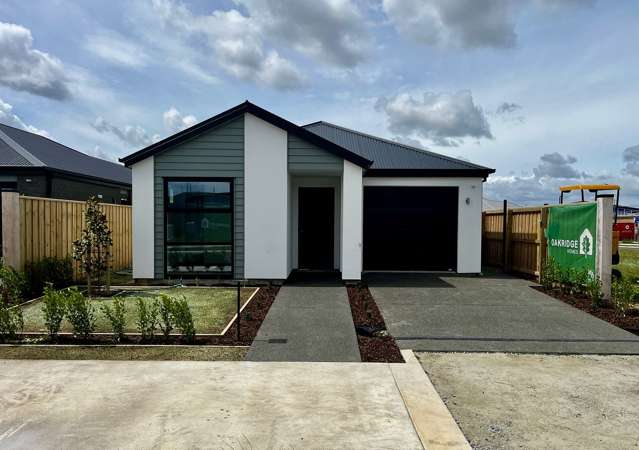 New build for rent Arbor Green Rolleston