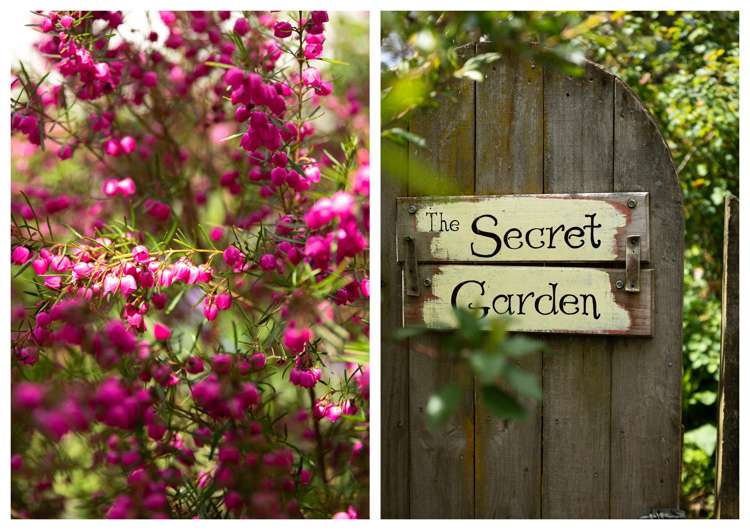 42a Junction Road Paeroa_29