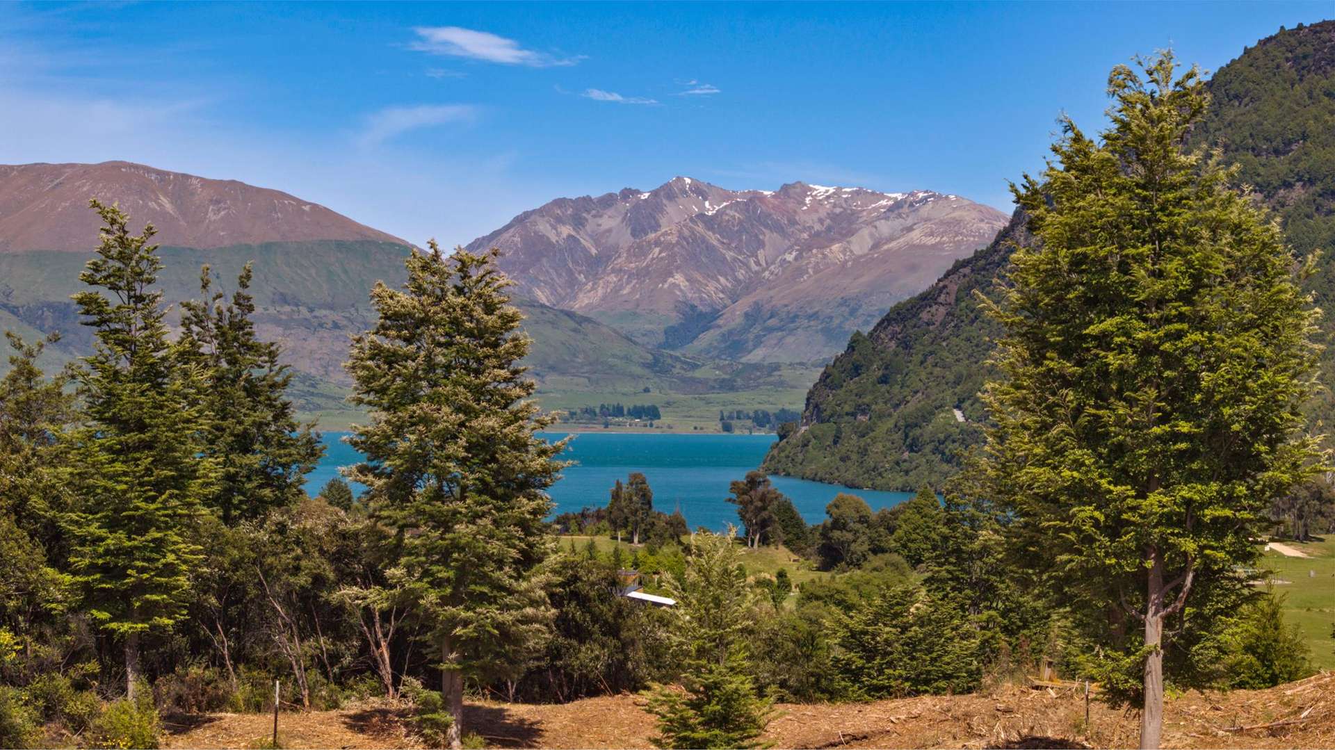 19 Haast Eagle Road Bobs Cove_0