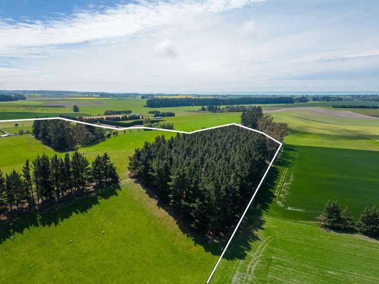 277 Hook School Road Makikihi_24