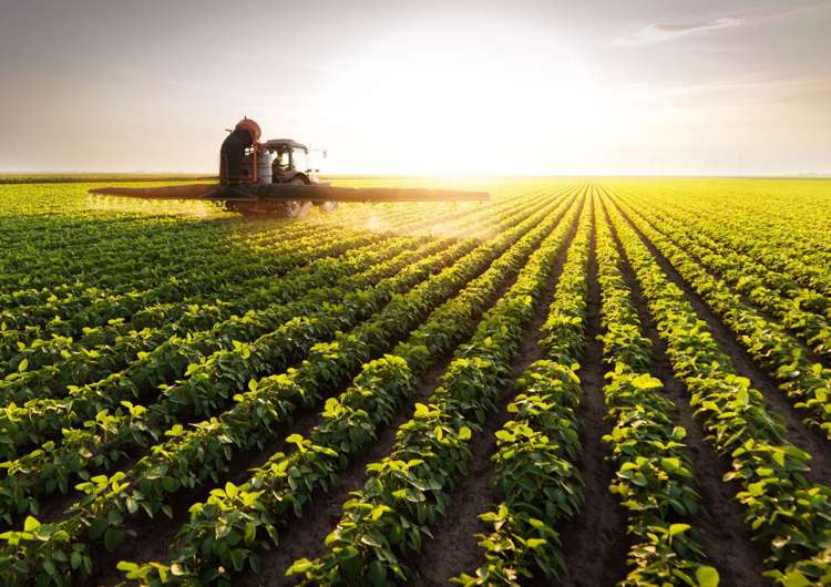 Address withheld Southbridge_2