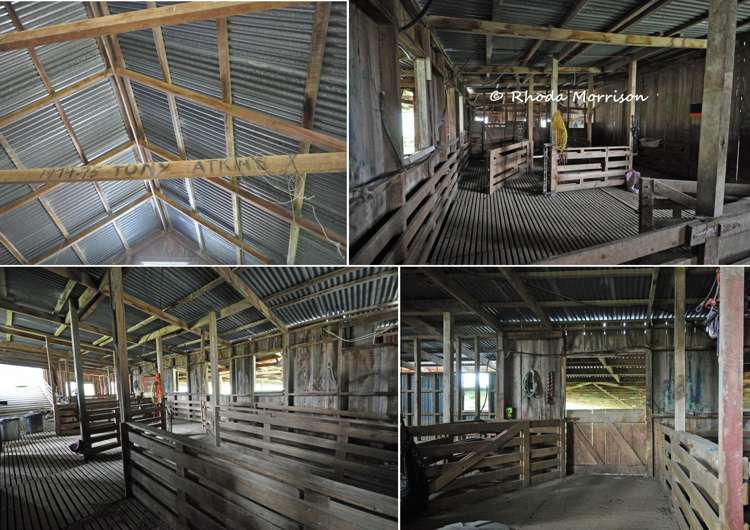 726 Paparoa Station Road Maungaturoto_44