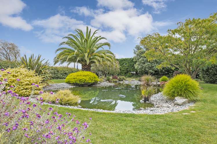 324 Branch Drain Road Leeston_28