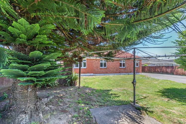 3 Clark Street Levin_16