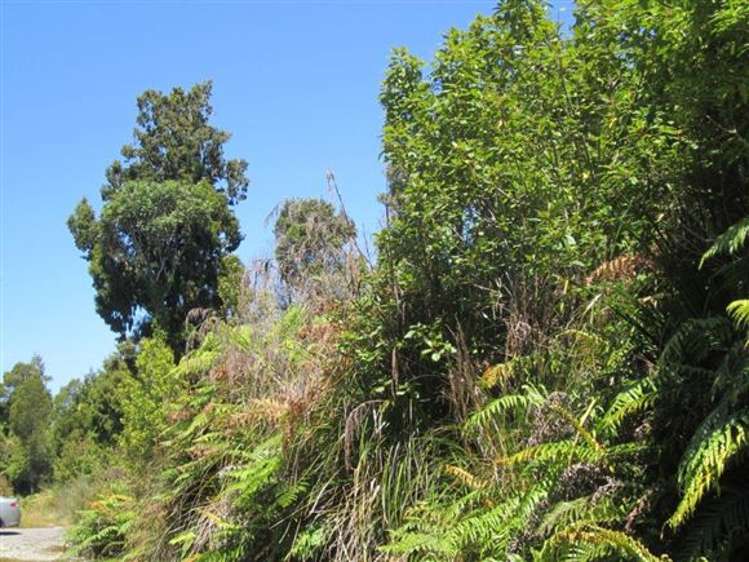 146 Havill Drive Hokitika_7