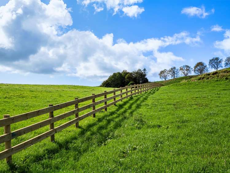 Lot 2,164C Crawford Road Te Puna_10