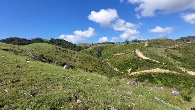 1104 Tapuhi Road Hikurangi Rd2_3