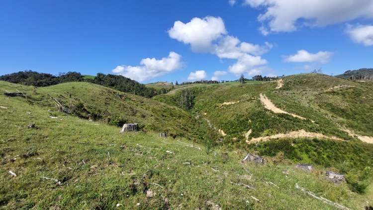 1104 Tapuhi Road Hikurangi Rd2_3