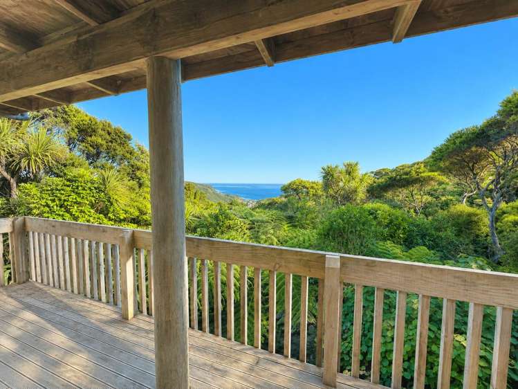 187 Piha Road_0