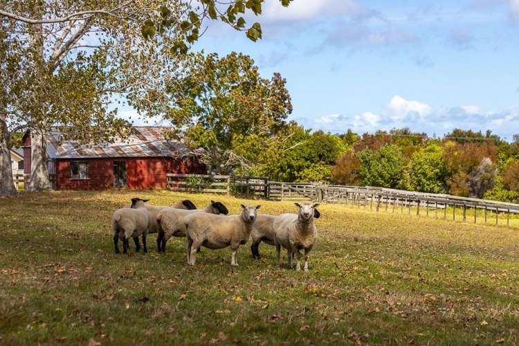 124 Mahurangi East Road Snells Beach_6