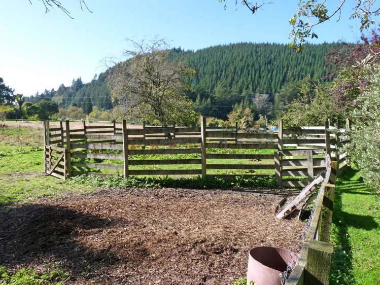 9 Schultz Road Wakefield_15