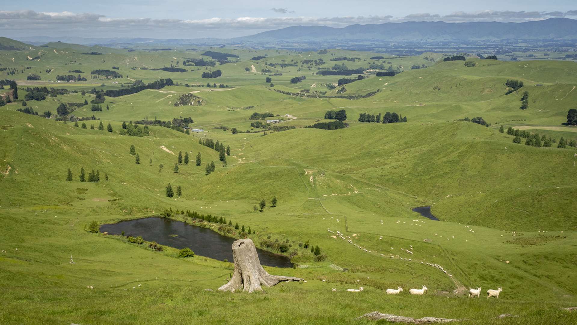 106 Tuturewa Road Rangitikei Surrounds_0