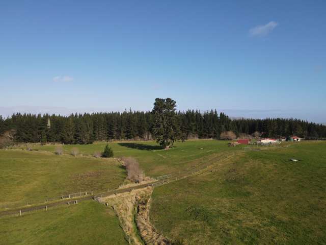 450 Nightcaps - Ohai Highway Ohai_4