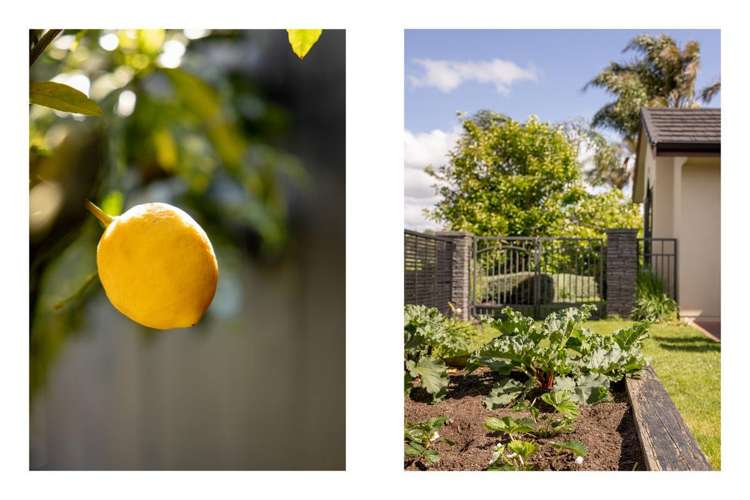 2 Brackenburn Drive Ohauiti_11