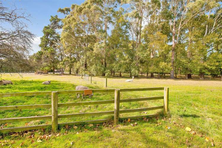 87 South Eyre Road Clarkville_20