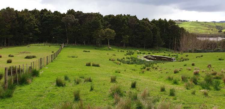 105 Jumna Road Maungaturoto_9