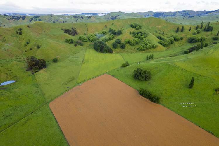 Lavenham Road Waituhi_6