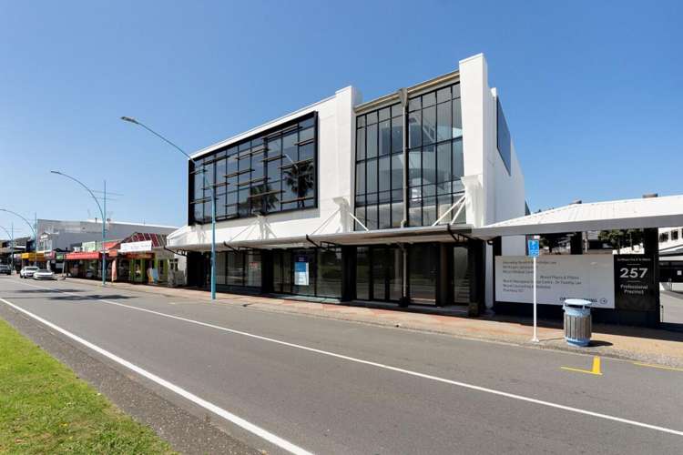 249 Maunganui Road Mount Maunganui_9