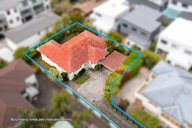 28a Francis Street Hauraki_1