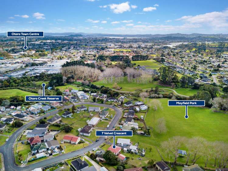 7 Velvet Crescent Otara_15