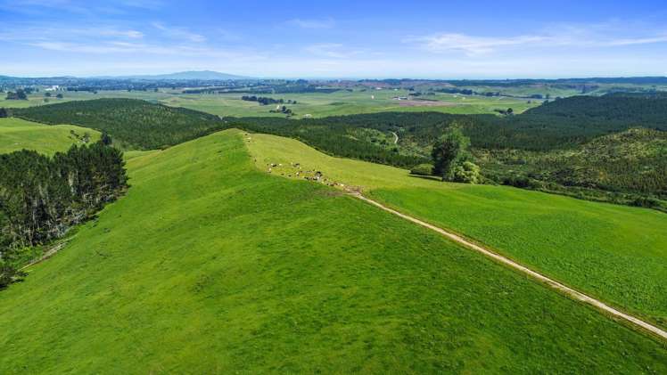 301 Matarawa Road Kinleith_24