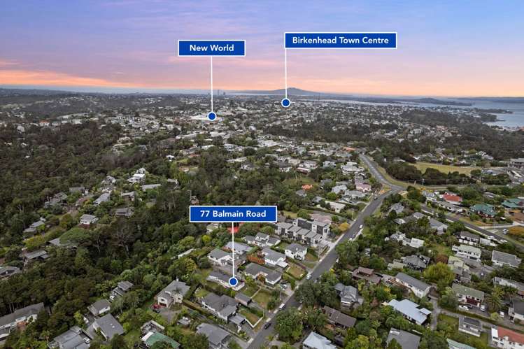 77 Balmain Road Birkenhead_23