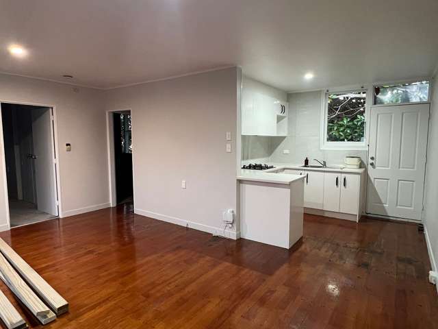 3/44 Spring Street Onehunga_2