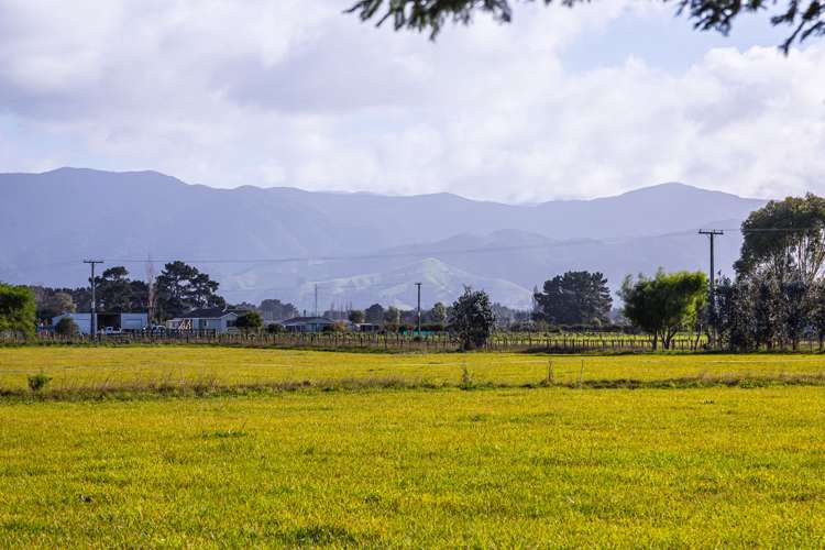 23 Settlement Road Greytown_10