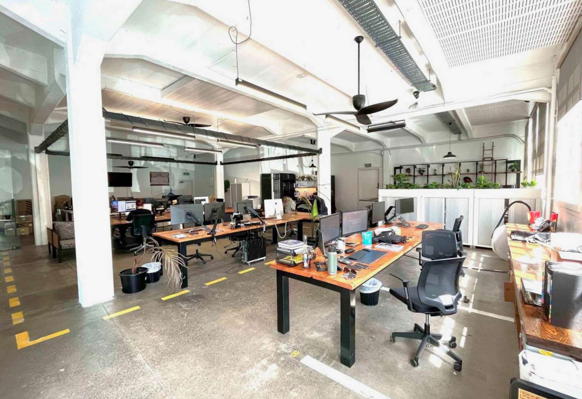 56-58 Surrey Crescent Grey Lynn_0