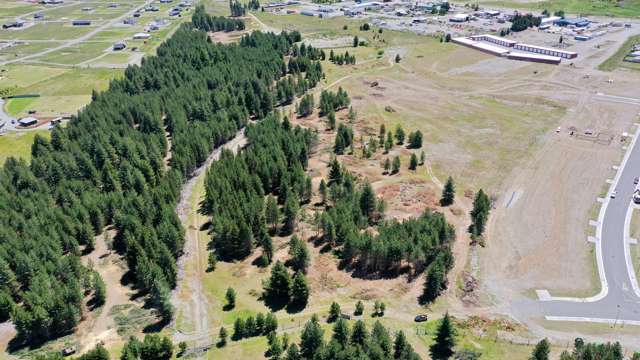 Mackenzie Park Stage 8 Twizel_1