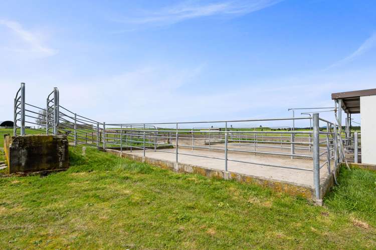 318 Gavin Road Rerewhakaaitu_10