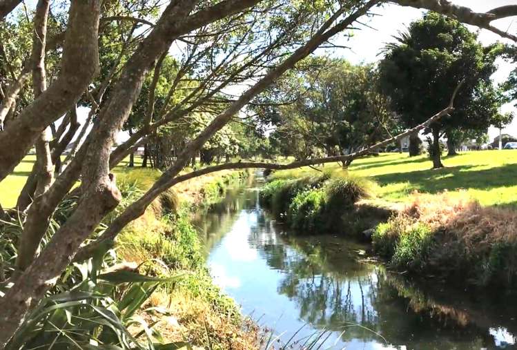 9 Damian Grove Waterloo_13