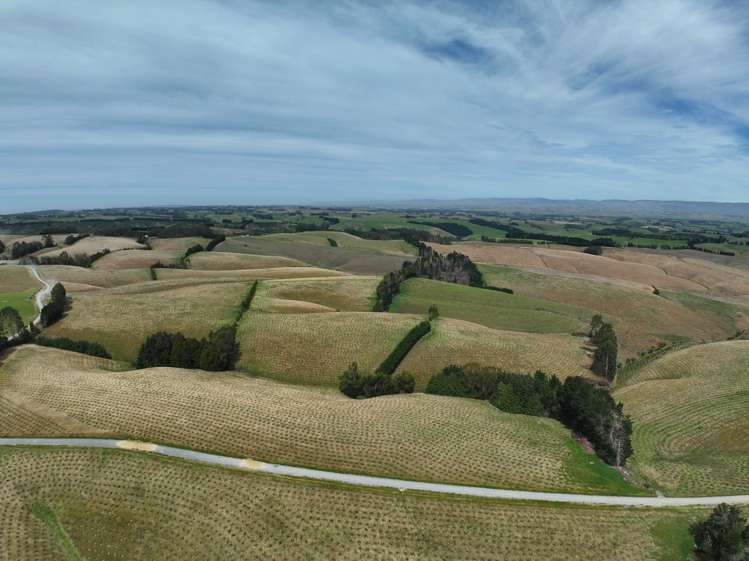 174 McCulloch Road Awamangu_39